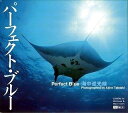 【中古】 パーフェクト・ブルー 海中逆光線