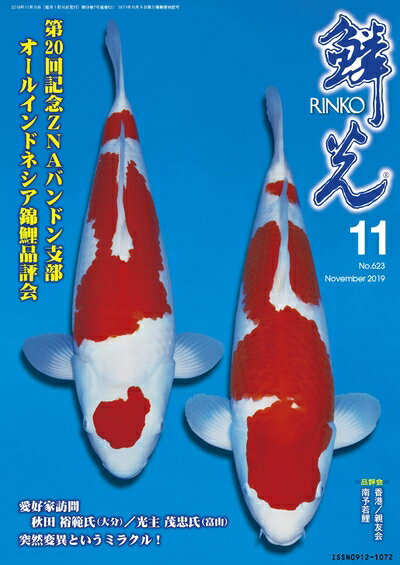 【中古】 鱗光　リンコウ　2019年　11月号