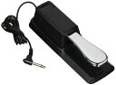 【中古】 ROZZ (ロッズ) RST-1 サスティンペダル 極性切り替え可能