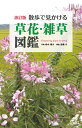 【中古】 改訂版 散歩で見かける草花・雑草図鑑
