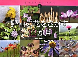 【お品物お届けまでの流れについて】・ご注文：24時間365日受け付けております。・ご注文の確認と入金：入金*が完了いたしましたらお品物の手配をさせていただきます・お届け：商品ページにございます最短お届け日数〜+3日前後でのお届けとなります。*前払いやお支払いが遅れた場合は入金確認後配送手配となります、ご理解くださいますようお願いいたします。【中古品の不良対応について】・お品物に不具合がある場合、到着より7日間は返品交換対応*を承ります。初期不良がございましたら、購入履歴の「ショップへお問い合わせ」より不具合内容を添えてご連絡ください。*代替え品のご提案ができない場合ご返金となりますので、ご了承ください。・お品物販売前に動作確認をしておりますが、中古品という特性上配送時に問題が起こる可能性もございます。お手数おかけいたしますが、お品物ご到着後お早めにご確認をお願い申し上げます。【在庫切れ等について】弊社は他モールと併売を行っている兼ね合いで、在庫反映システムの処理が遅れてしまい在庫のない商品が販売中となっている場合がございます。完売していた場合はメールにてご連絡いただきますの絵、ご了承ください。【重要】当社中古品は、製品を利用する上で問題のないものを取り扱っております。ご安心して、ご購入いただければ幸いです。・中古本の特性上【ヤケ、破れ、折れ、メモ書き、匂い、レンタル落ち】等がある場合がございます。・レンタル落ちの場合、タグ等が張り付いている場合がございますが、使用する上で問題があるものではございません。・商品名に【付属、特典、○○付き、ダウンロードコード】等の記載があっても中古品の場合は基本的にこれらは付属致しません。下記メーカーインフォになりますため、保証等の記載がある場合がございますが、こちらの製品は中古品ですのでメーカー保証の対象外となります。あらかじめご了承下さい。また、掲載されております画像は全てイメージとなります。実際の商品とは色味等異なる場合がございますので、ご了承ください。野山の花をさがす12か月 (生きものカレンダー 1)著者略歴 (「BOOK著者紹介情報」より)いがり/まさし1960年愛知県豊橋市生まれ。関西学院大学文学部美学科中退。25歳のとき、故冨成忠夫氏の植物写真に出会い、植物写真を志す。的確な図鑑写真のほか、情感あふれる植物写真にも定評がある(本データはこの書籍が刊行された当時に掲載されていたものです)