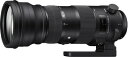 【中古】 SIGMA 150-600mm F5-6.3 DG OS HSM | Sports S014 | Sigma SAマウント | Full-Size/Large-Format