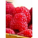 【中古】 アテナ Vol.20 フルーツ
