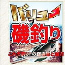 【中古】 バリュー磯釣り