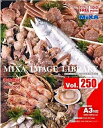 【中古】 MIXA IMAGE LIBRARY Vol.250 冬の食材