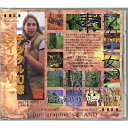 【中古】 完全著作権フリー素材集「素材の才女ジュリー・A・イーグルトン」VOL.3