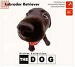 【中古】 THE DOG 〜 LabradorRetriver