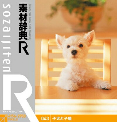 【中古】 素材辞典[R(アール)] 043 子犬と子猫