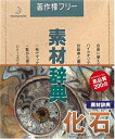【中古】 素材辞典 Vol.11 化石編