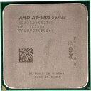 【中古】 A4-6300-TRAY