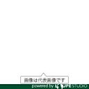 【中古】 日東工器 デルボ 小ねじ用電動ドライバ DLV8130-SPC