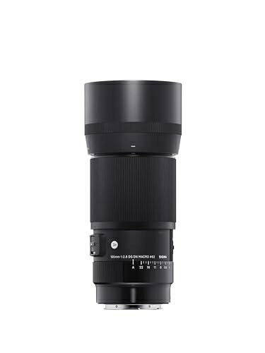 【中古】 シグマ(Sigma) SIGMA シグマ Sony Eマウント レンズ 105mm F2.8 DG DN MACRO 単焦点 望遠 フルサイズ Artミラーレス専用