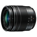 【中古】 パナソニック(Panasonic) 標準ズームレンズ マイクロフォーサーズ用 ルミックス G VARIO 12-60mm/F3.5-5.6 ASPH./POWER O.I.S H-FS12060