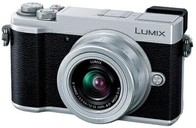 ����š� �ѥʥ��˥å� �ߥ顼�쥹��㥫��� ��ߥå��� GX7MK3 ɸ�ॺ�����󥺥��å� ����С� DC-GX7MK3K-S