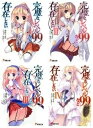 【中古】 完璧なレベル99など存在しない 文庫 1-4巻セット (電撃文庫)