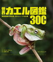 【中古】 世界カエル図鑑300種