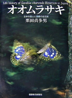 【お届け日について】お届け日の"指定なし"で、記載の最短日より早くお届けできる場合が多いです。お品物をなるべく早くお受け取りしたい場合は、お届け日を"指定なし"にてご注文ください。お届け日をご指定頂いた場合、ご注文後の変更はできかねます。【...