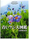 【中古】 青いケシ大図鑑