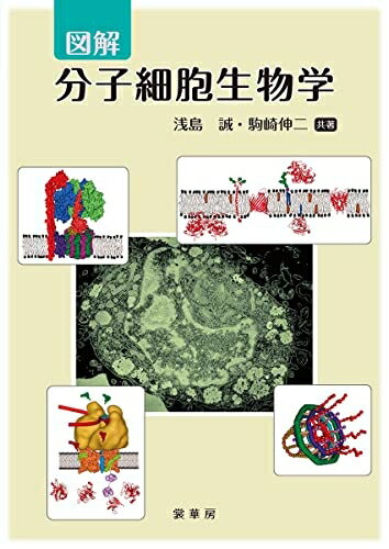 【中古】 図解 分子細胞生物学