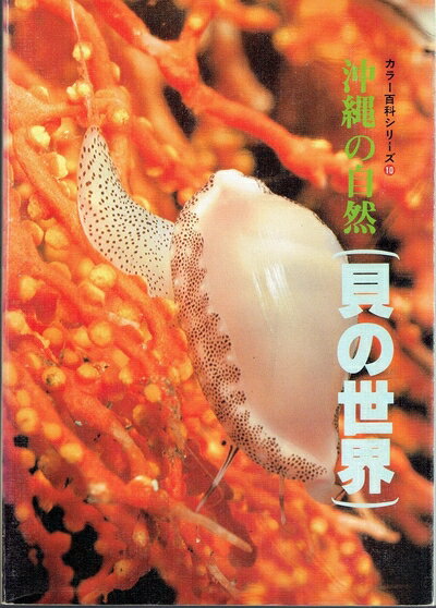 【中古】 沖縄の自然（貝の世界）カラー百科シリーズ10