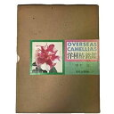 【中古】 洋種椿銘鑑 (1976年)