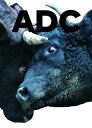 【中古】 ART DIRECTION JAPAN/日本のアートディレクション 2019
