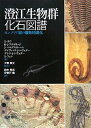 【中古】 澄江生物群化石図譜: カンブリア紀の爆発的進化