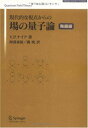 【中古】 現代的な視点からの場の量子論 発展編 (SPRINGER UNIVERSITY TEXTBOOKS)