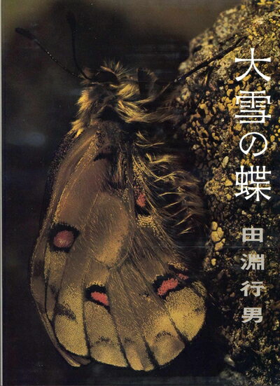 ����š� �����ĳ (1978ǯ)