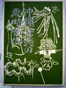 【中古】 沖縄・奄美の歳時習俗 (1975年)
