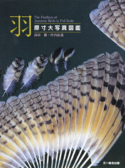 【中古】 羽: 原寸大写真図鑑
