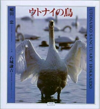 【中古】 ウトナイの鳥