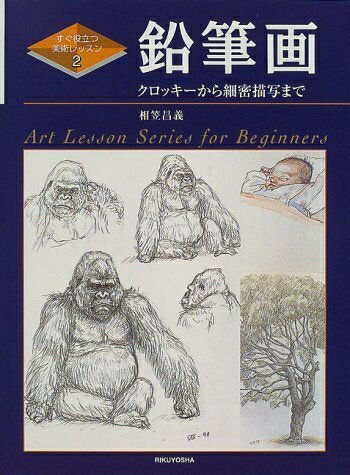 【中古】 鉛筆画: クロッキーから細密描写まで (すぐ役立つ美術レッスン 2)
