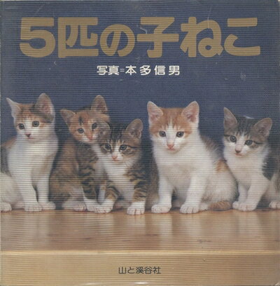 【中古】 5匹の子ねこ