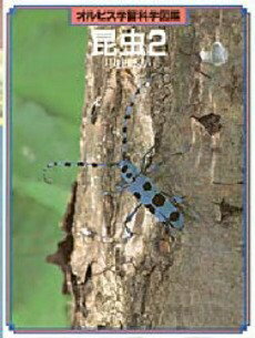 【中古】 昆虫 (2) (オルビス学習科学図鑑)