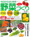 【中古】 今日からはじめる野菜づくり(SEIBIDO MOOK)
