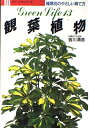 【中古】 観葉植物 (GREEN LIFE 13)