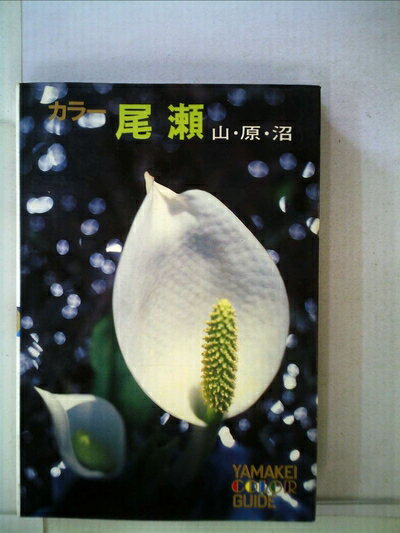 【中古】 尾瀬―山・原・沼 カラー (1979年) (山渓カラーガイド〈81〉)