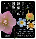 【中古】 美しき小さな雑草の花図鑑
