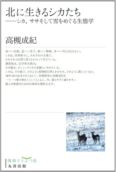 【中古】 北に生きるシカたち シカ、ササそして雪をめぐる生態学