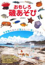 【中古】 おもしろ磯あそび―磯の生物の観察・採集・飼育 (フィールドガイド) (アクアライフの本)