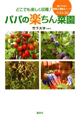 【中古】 どこでも楽しく収穫!パパの楽ちん菜園: 育てやすい野菜&果樹&ハーブベスト30
