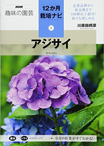 【中古】 アジサイ (NHK趣味の園芸12か月栽培ナビ(9))