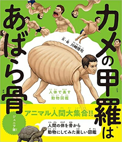 【中古】 カメの甲羅はあばら骨 ジュニア版 人体で表す動物図鑑