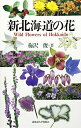 【中古】 新北海道の花