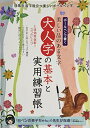 【中古】 大人字の基本と実用練習帳 (サンエイムック)