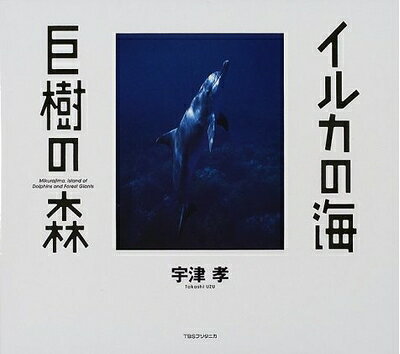 【中古】 イルカの海巨樹の森