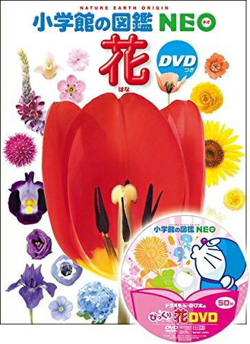 【中古】 DVD付 花 (小学館の図鑑 NEO)