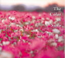 【中古】 西都の色 The color of Saito