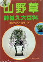 【中古】 山野草鉢植え大百科―栽培方法と殖やし方 (1985年)